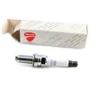 Ducati Spark Plug MAR9A-J -Moose Racing Shop ducati spark plug mar9a j
