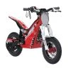 OSET 12.5 24V Racing Electric Bike