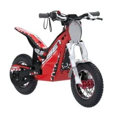 OSET 12.5 24V Racing Electric Bike